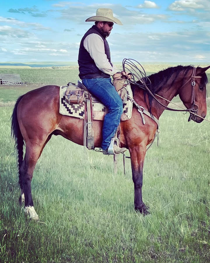 doctoring, ranch horse, trail horse