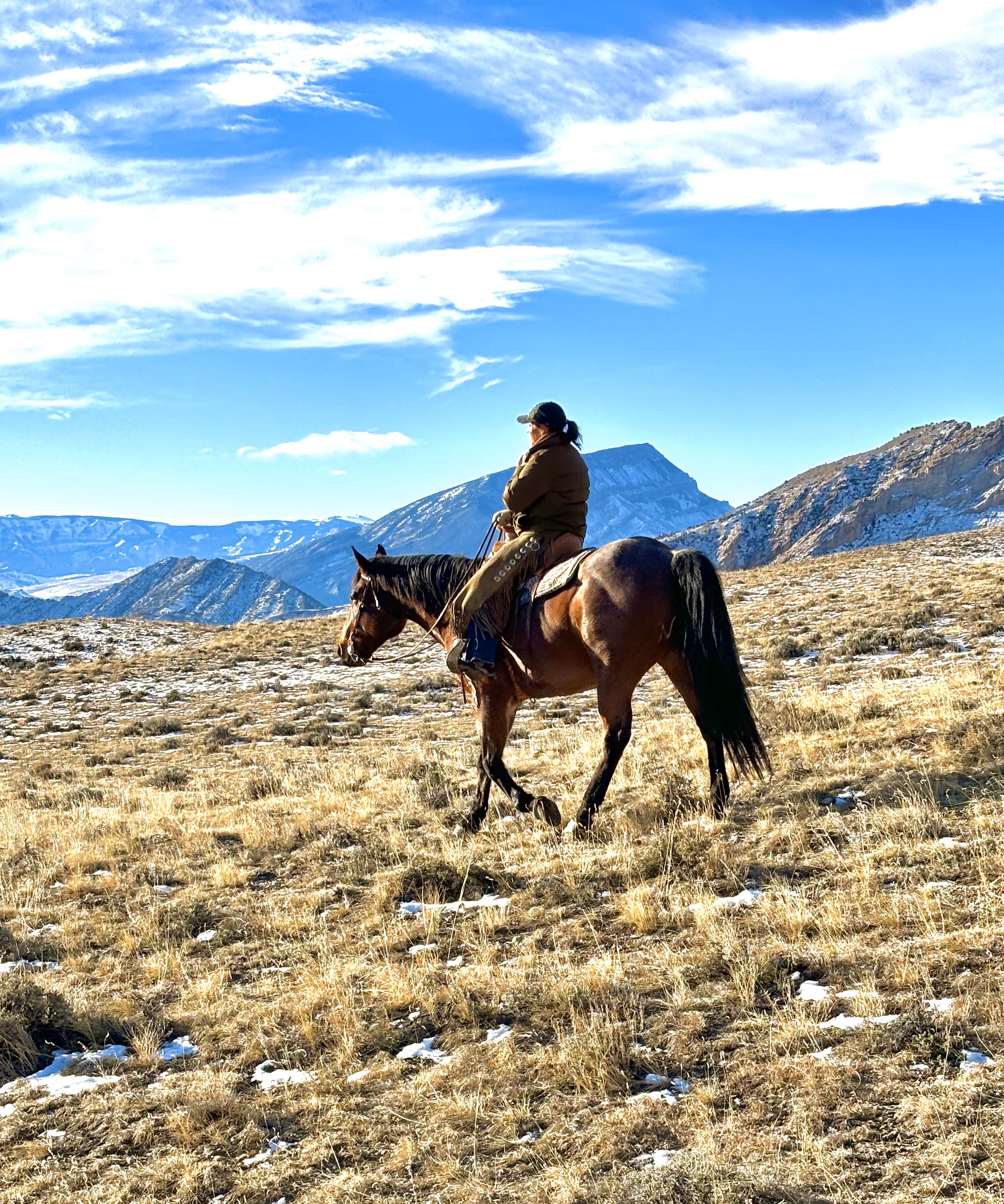 King - Mountain Ranch Horse