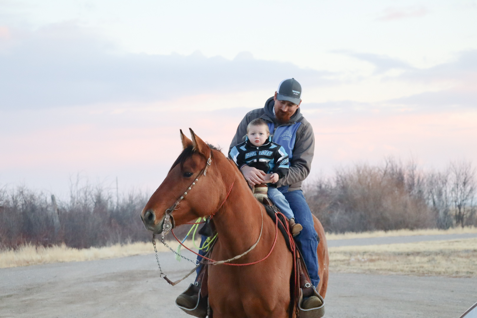 Ranch Horse with rider